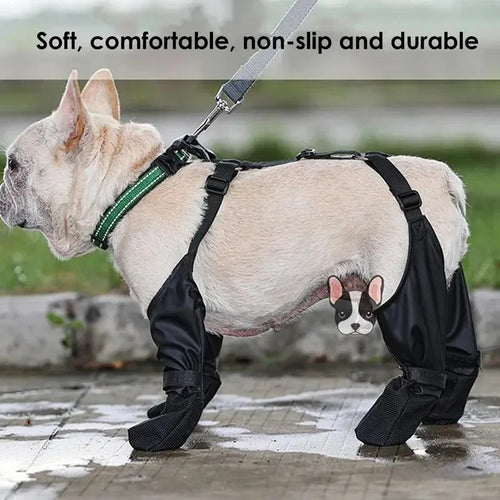 Chien en promenade avec des bottes imperméables à bretelles